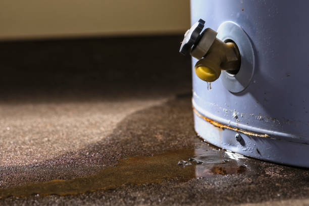 Best Sewage cleanup and water damage restoration  in Fort Leonard Wood, MO