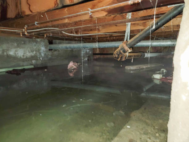 Best Flood restoration services  in Fort Leonard Wood, MO