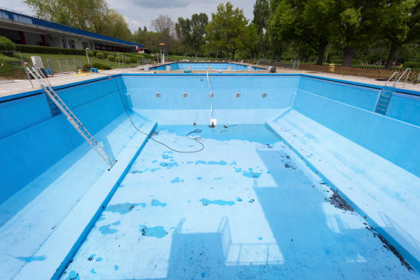 Best Mold removal after water damage  in Fort Leonard Wood, MO