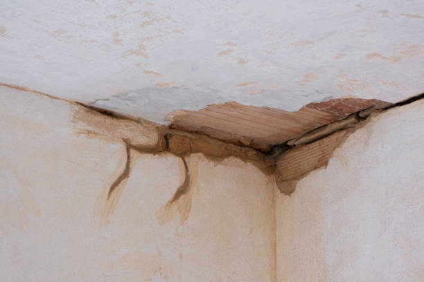 Best Fire Damage Restoration  in Fort Leonard Wood, MO