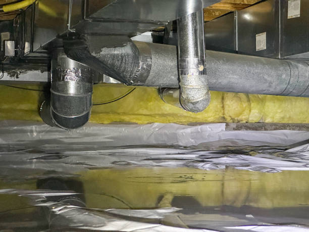 Best Professional water damage repair  in Fort Leonard Wood, MO