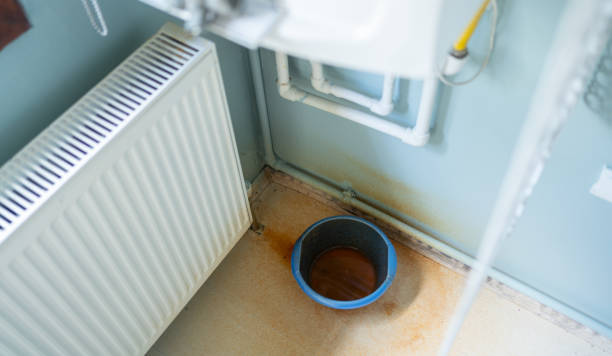 Best Water damage cleanup near me  in Fort Leonard Wood, MO